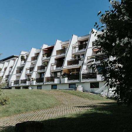 Rosenalm Scheidegg Appartement Buitenkant foto