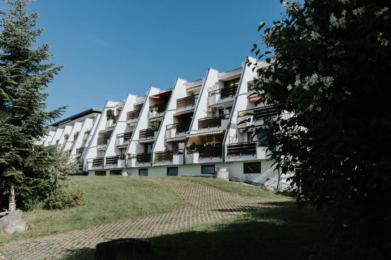 Rosenalm Scheidegg Appartement Buitenkant foto
